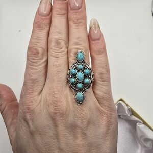 Artisan Crafted Tahoe Nevada Turquoise 4.25 ctw Ring in Sterling Silver